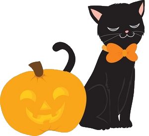a halloween black cat